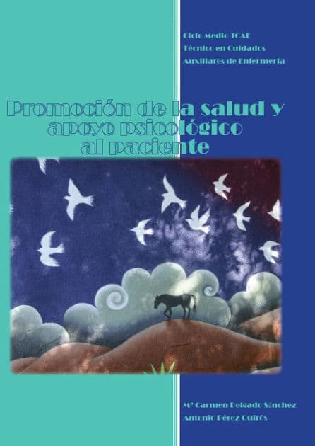 Promoción de la salud y apoyo psicológico al paciente by M Carmen Delgado Sánchez