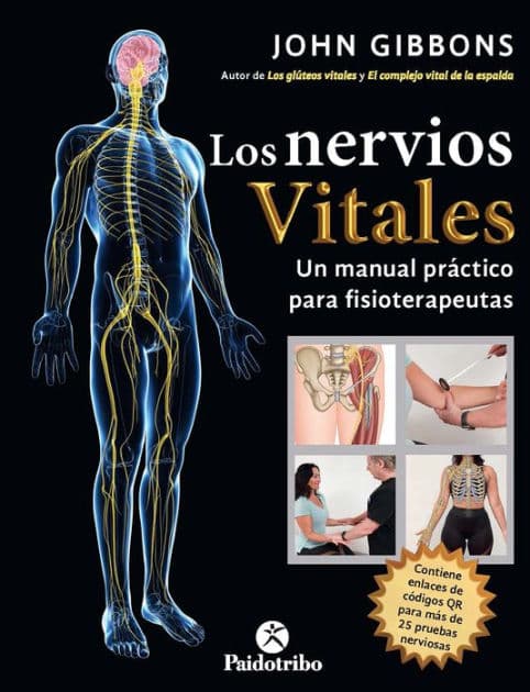 Los nervios vitales: Un manual práctico para fisioterapeutas (Color) by John Gibbons