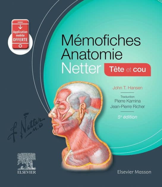 Mémofiches Anatomie Netter - Tête et cou by John T. Hansen