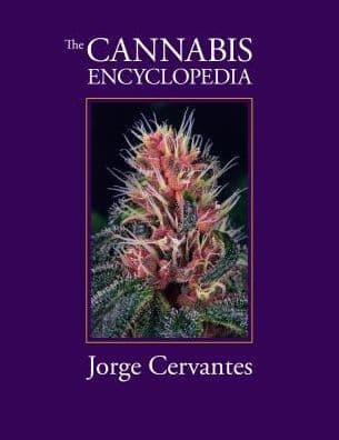 The Cannabis Encyclopedia: The Definitive Guide to Cultivation & Consumption of Medical Marijuana by Jorge Cervantes