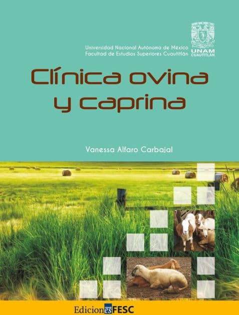 Clínica ovina y caprina by Vanessa Alfaro Carvajal