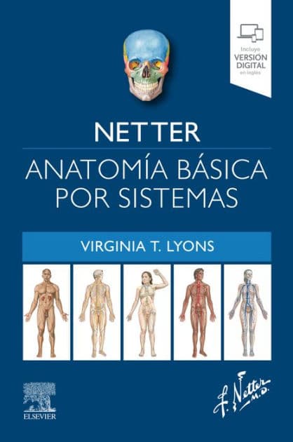 Netter. Anatomía básica por sistemas by Virginia T. Lyons