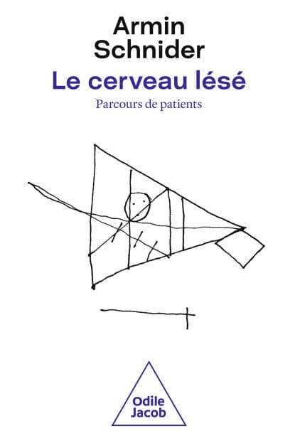 Le Cerveau lésé: Parcours de patients : fonctions atteintes et récupération by Armin Schnider