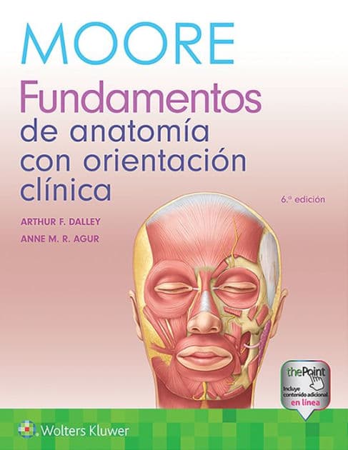 Moore. Fundamentos de anatomía con orientación clínica / Edition 6 by Anne M.R. Agur BSc (OT), Arthur F. Dalley II PhD, FAAA, Keith L. Moore MSc PhD FIAC FRSM FAAA, MSc, PhD