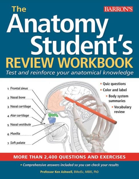 Anatomy Student's Review Workbook: Test and reinforce your anatomical knowledge by Barron's Educational Series