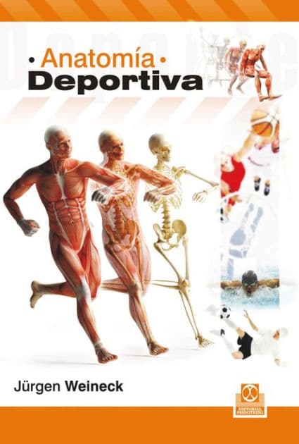Anatomía deportiva by Jürgen Weineck
