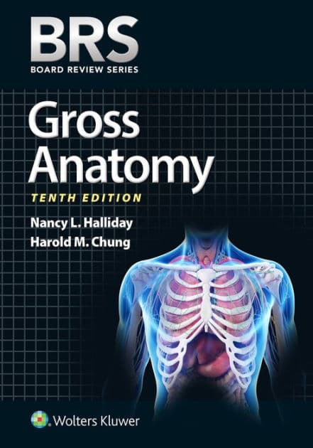 BRS Gross Anatomy by Nancy L. Halliday PhD