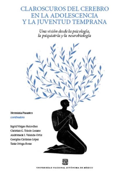 Claroscuros del cerebro en la adolescencia y la juventud temprana: Una visión desde la psicología la psiquiatria y la neurobiología by Georgina Cárdenas-Rodríguez