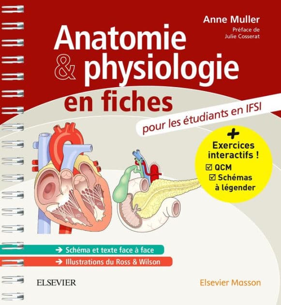 Anatomie et physiologie en fiches Pour les étudiants en IFSI: Avec un site Internet d'entraînements interactifs by Anne Muller