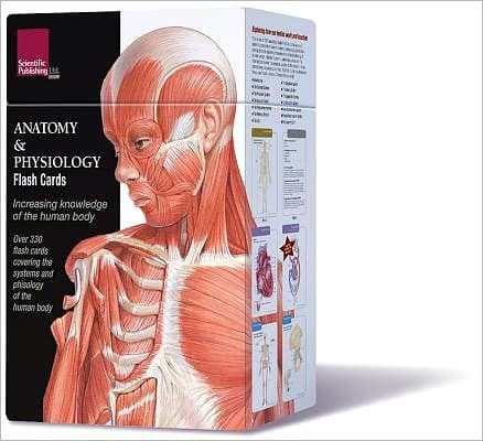 Anatomy & Physiology Flash Cards by Continental Sales