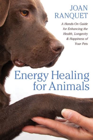 Energy Healing for Animals: A Hands-On Guide for Enhancing the Health, Longevity, and Happiness of Your Pets by Joan Ranquet