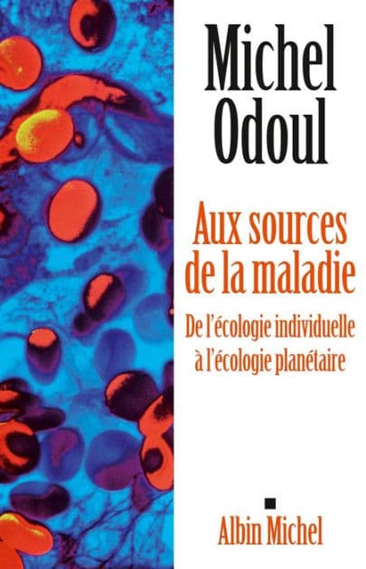 Aux sources de la maladie: De l'écologie individuelle à l'écologie planétaire by Michel Odoul