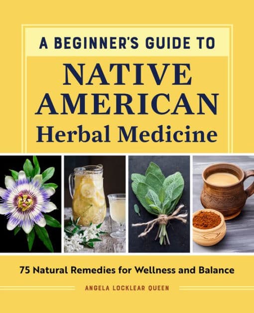 A Beginner's Guide to Native American Herbal Medicine: 75 Natural Remedies for Wellness and Balance by Angela Locklear Queen
