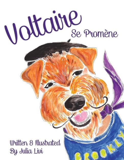 Voltaire Se Promène by Julia Livi