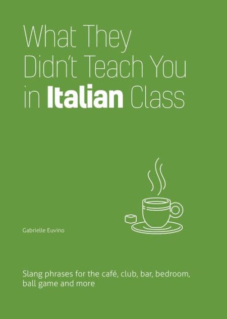 What They Didn't Teach You in Italian Class: Slang Phrases for the Cafe, Club, Bar, Bedroom, Ball Game and More by Gabrielle Euvino