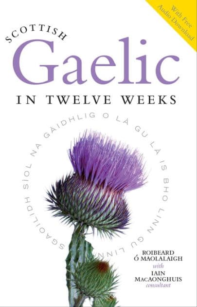 Scottish Gaelic in Twelve Weeks by Roibeard O'Maolalaigh