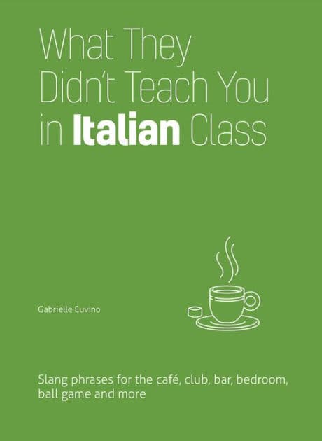 What They Didn't Teach You in Italian Class: Slang Phrases for the Café, Club, Bar, Bedroom, Ball Game and More by Gabrielle Euvino