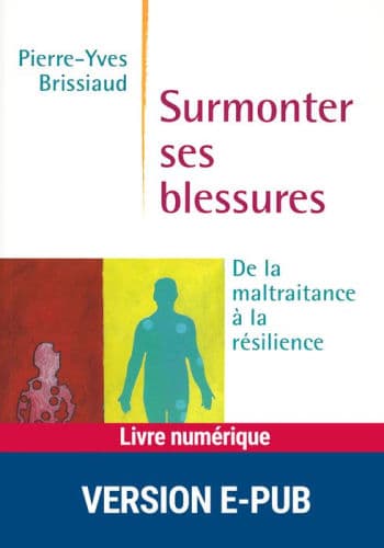 Surmonter ses blessures by Pierre-Yves Brissiaud