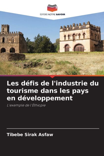 Les dï¿½fis de l'industrie du tourisme dans les pays en dï¿½veloppement
