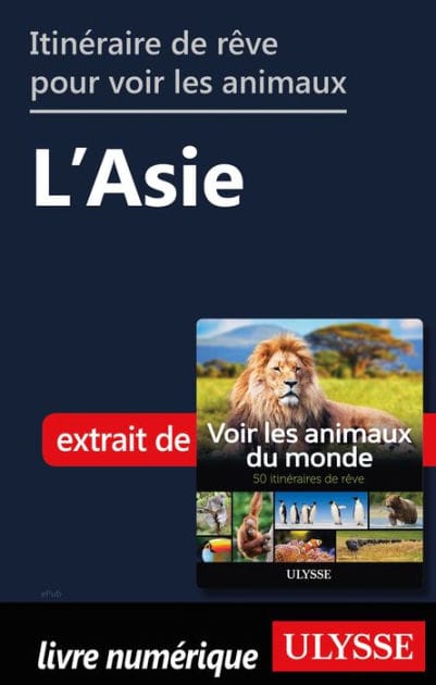Itinéraires de rêve pour voir les animaux - L'Asie