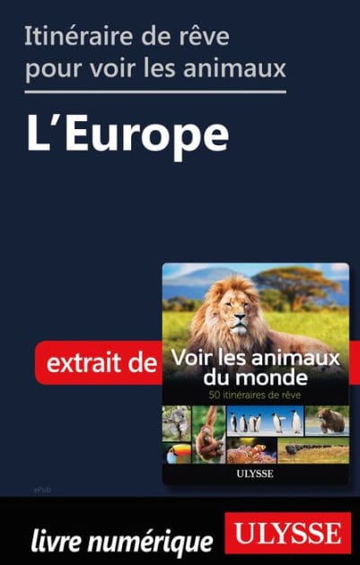 Itinéraires de rêve pour voir les animaux - L'Europe
