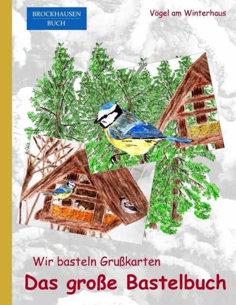 BROCKHAUSEN: Wir basteln Grusskarten - Das grosse Bastelbuch: Vögel am Winterhaus