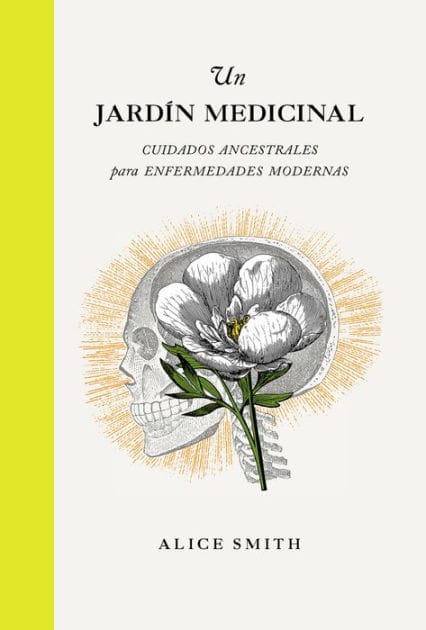 Un jardï¿½n medicinal: Cuidados Ancestrales para Enfermedades Modernas