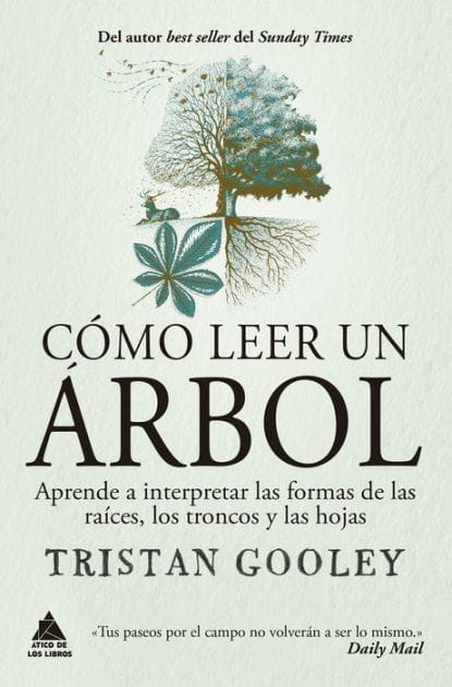Cómo leer un árbol: Aprende a interpretar las formas de las raíces, los troncos y las hojas