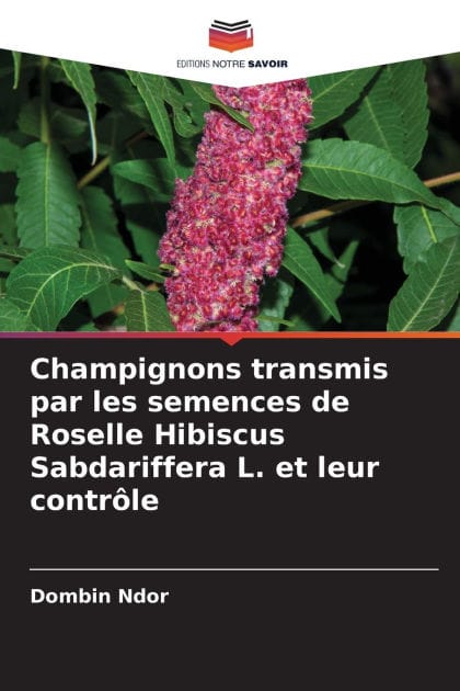 Champignons transmis par les semences de Roselle Hibiscus Sabdariffera L. et leur contrï¿½le
