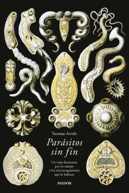 Parásitos sin fin: Un viaje fascinante por tu cuerpo y los microorganismos que lo habitan