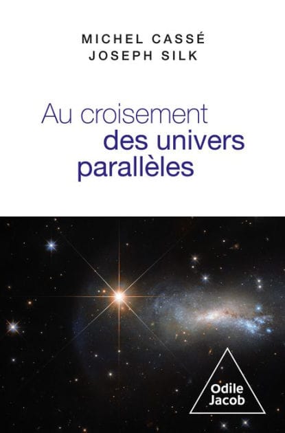 Au croisement des univers parallèles: Cosmologie et métacosmologie