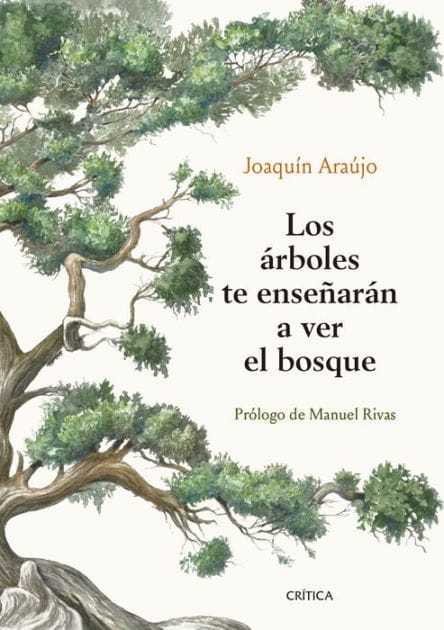 Los árboles te enseñarán a ver el bosque: Prólogo de Manuel Rivas