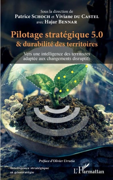 Pilotage stratégique 5.0 et durabilité des territoires: Vers une intelligence des territoires adaptée aux changements disruptifs