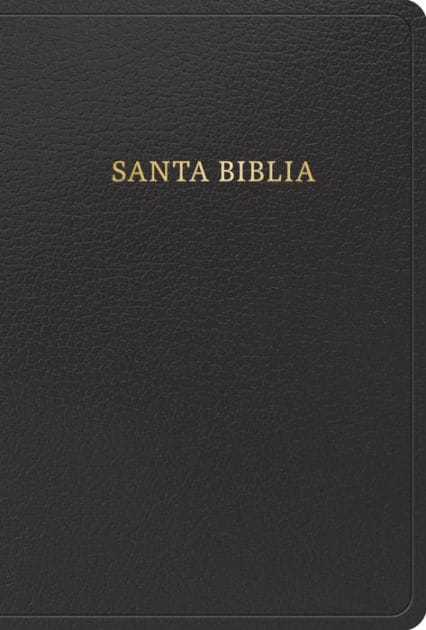 RVR 1960 Biblia letra grande tamaño manual, negro imitación piel con índice (Edición 2023): Con referencias. Nueva tipografía
