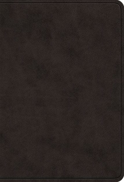 ESV Value Large Print Compact Bible (TruTone, Black)