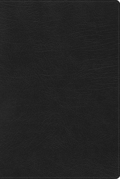 RVR 1960 Biblia de Estudio Arcoíris, negro símil piel