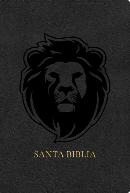 RVR 1960 Biblia letra grande tamaño manual edición especial, ceniza, símil piel