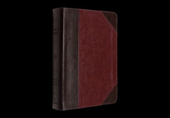 ESV Reader's Bible (TruTone, Brown/Cordovan, Portfolio Design)