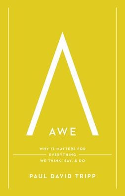 Awe: Why It Matters for Everything We Think, Say, and Do (with Study Questions)
