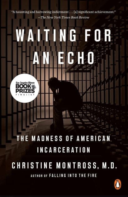 Waiting for an Echo: The Madness of American Incarceration