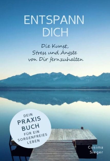 ENTSPANN DICH! Die Kunst, Stress und Ängste von Dir fernzuhalten: Dein Praxisbuch für ein sorgenfreies Leben