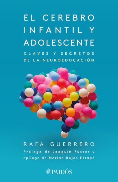 El cerebro infantil y adolescente