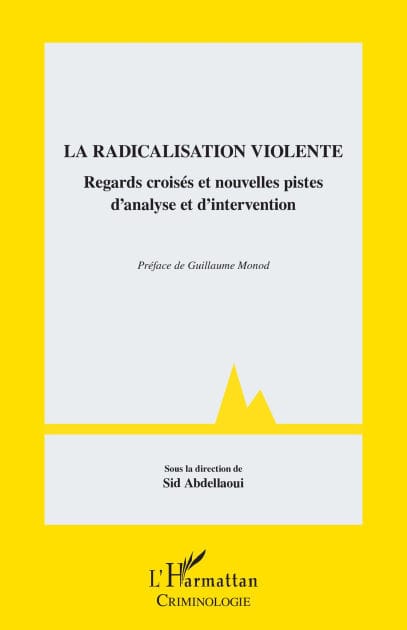 La radicalisation violente: Regards croisés et nouvelles pistes d'analyse et d'intervention