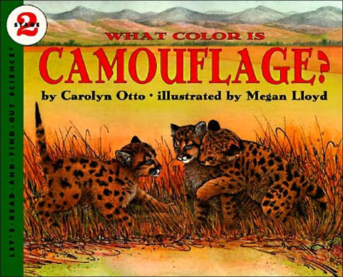 What Color Is Camouflage?