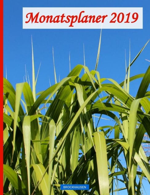 BROCKHAUSEN - Monatsplaner 2019
