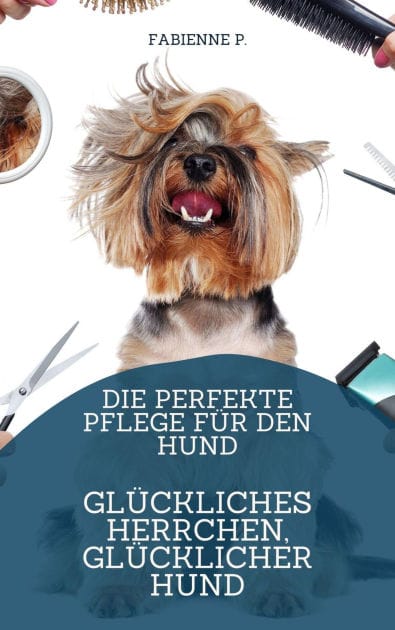 Pflege für den Hund: Glückliches Herrchen, glücklicher Hund