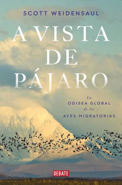 A vista de pájaro: La odisea global de las aves migratorias