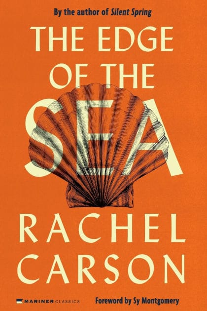 The Edge of the Sea