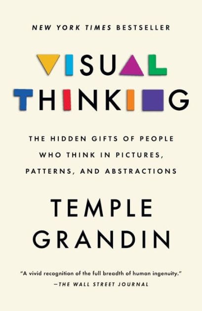 Visual Thinking: The Hidden Gifts of People Who Think in Pictures, Patterns, and Abstractions