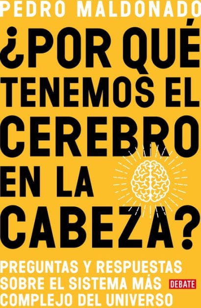 ¿Por qué tenemos el cerebro en la cabeza? / Why Do We Have Our Brain in Our Head?: Questions and answers about the most complex system in the universe